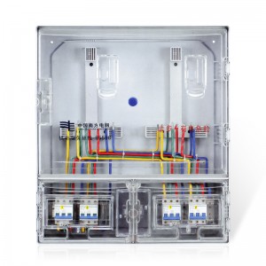 ZC-FKS2 trofazni dva epitopa